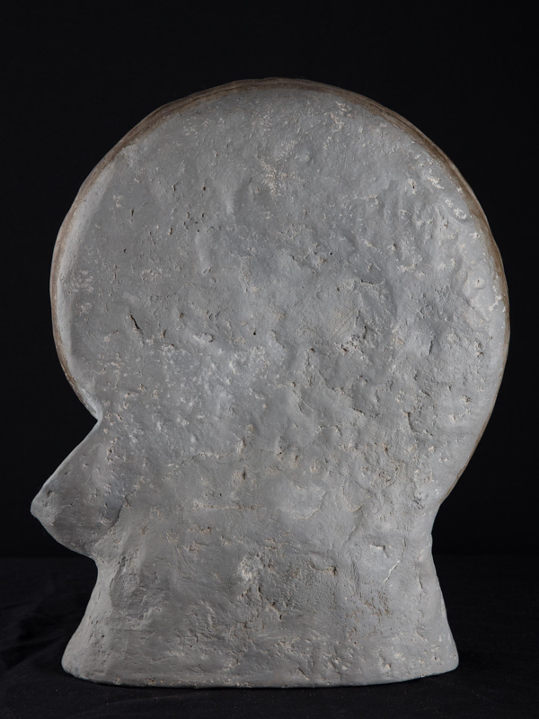 Ammonite on matrix - St1f0058 4 - F0058