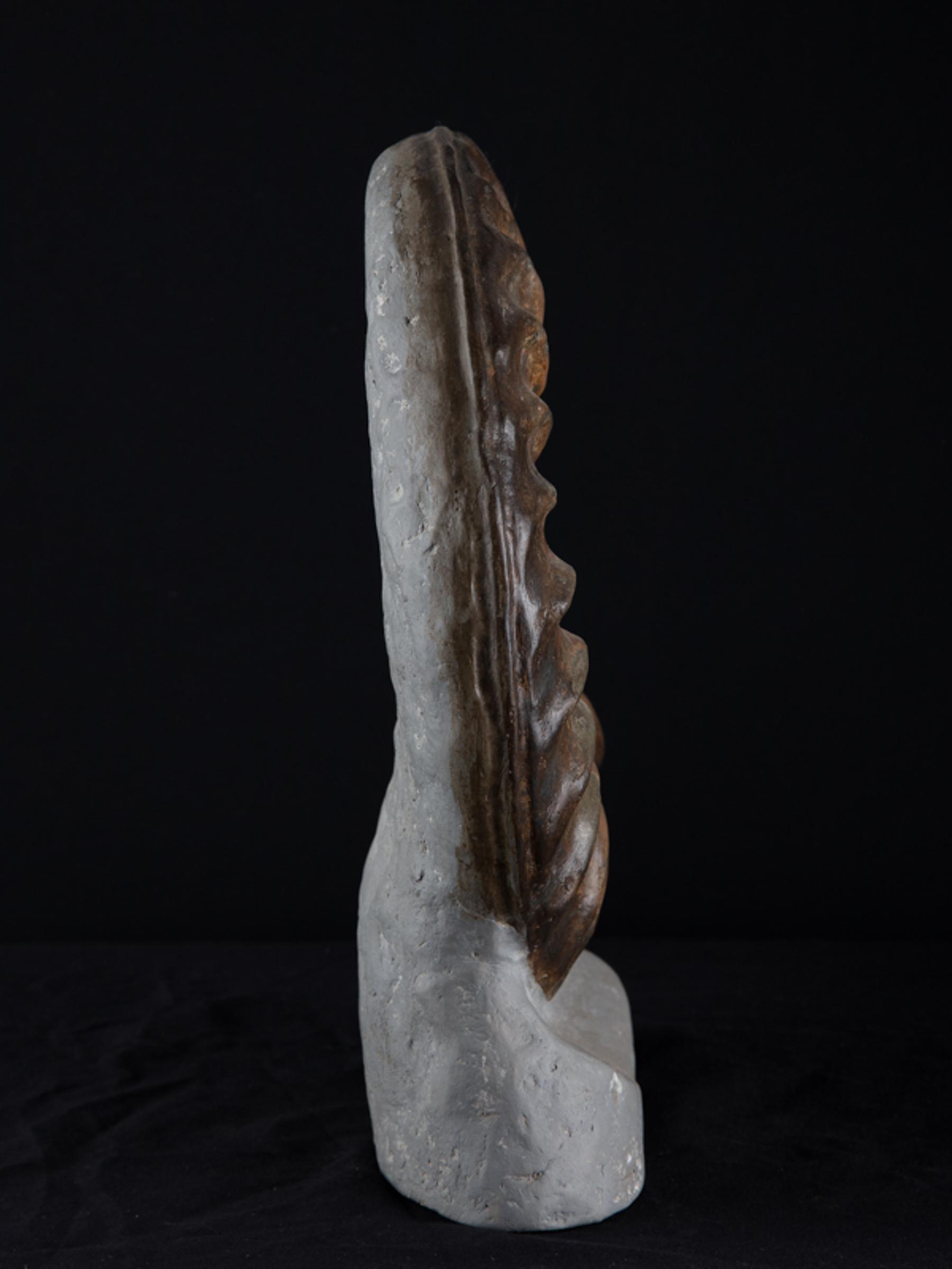Ammonite on matrix - St1f0058 5 - F0058