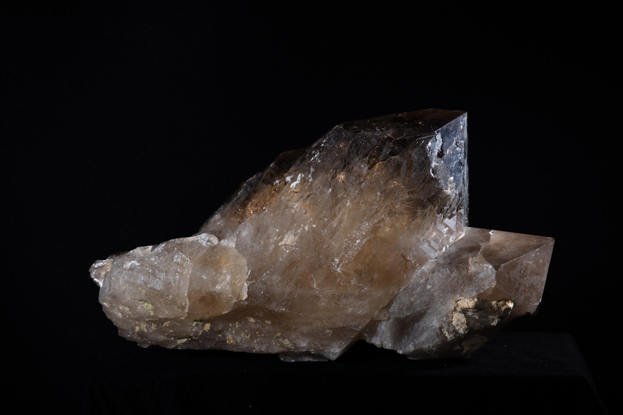 Citrine Membrini - St1galleryc0102 11 - C0102