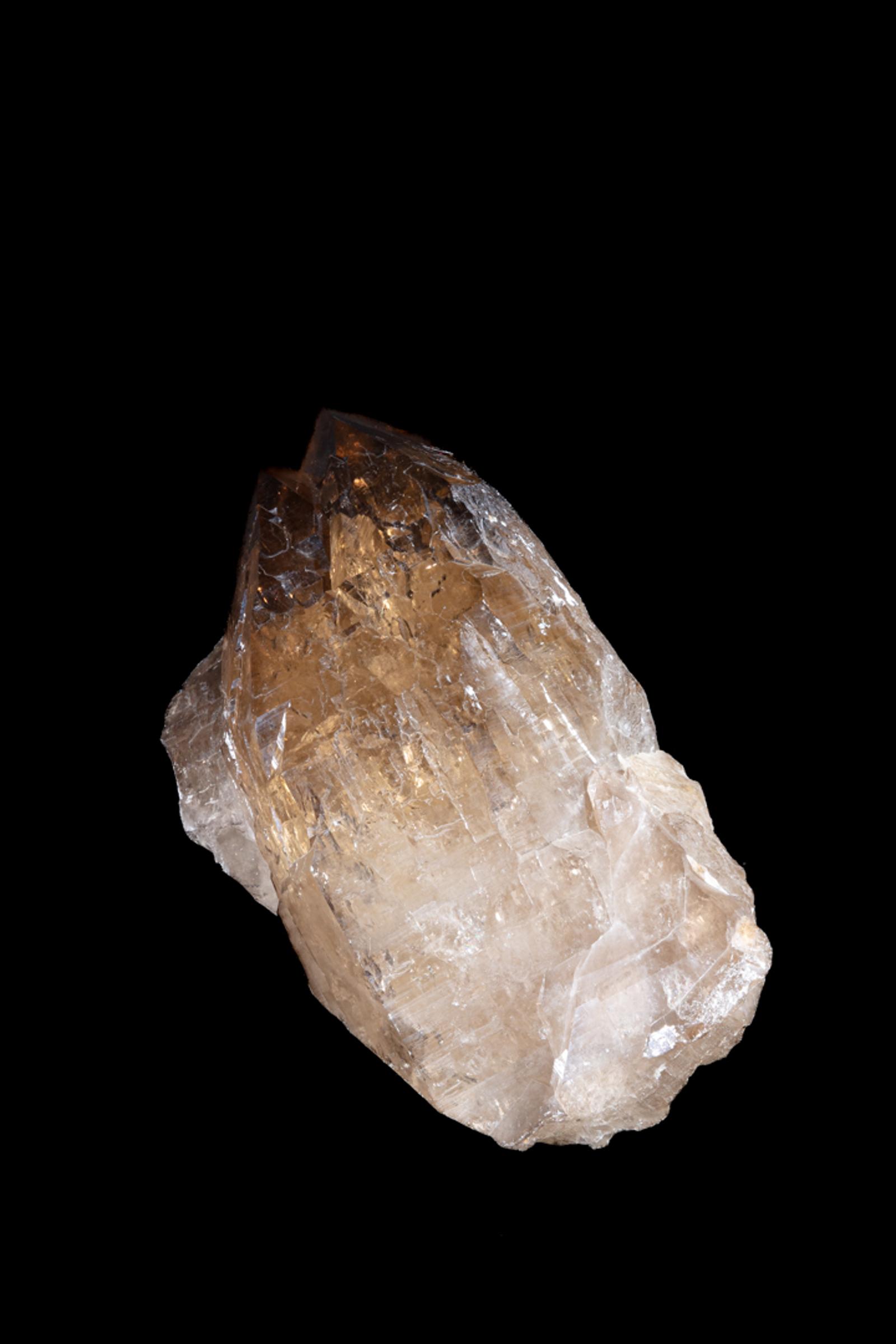 Citrine Membrini - St1galleryc0102 18 - C0102