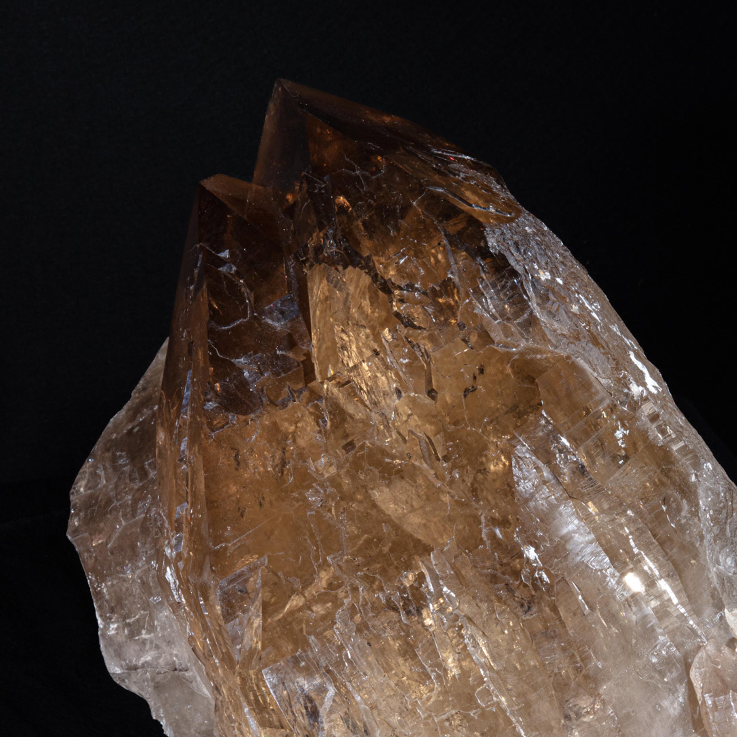 Citrine Membrini - St1galleryc0102 19 - C0102