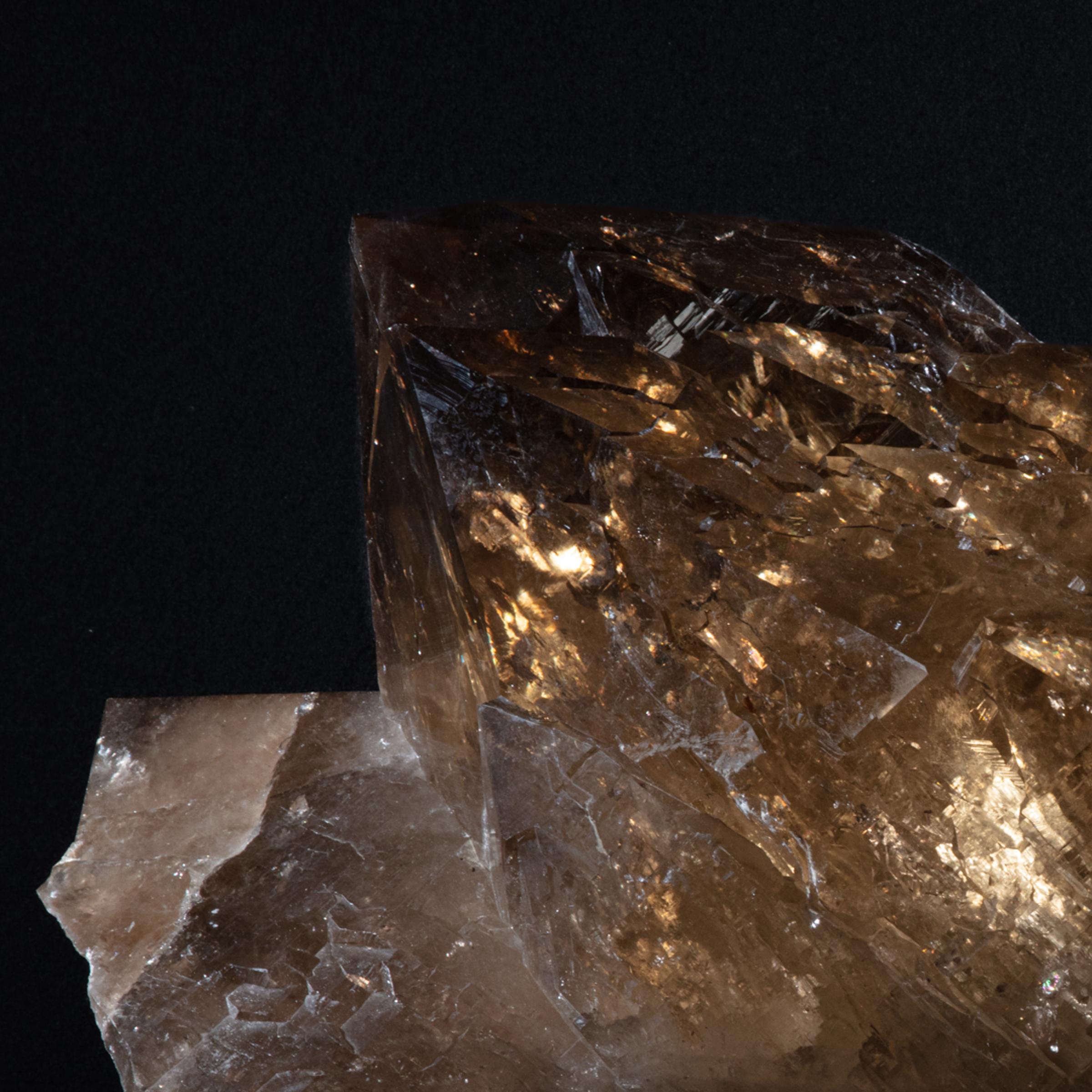 Citrine Membrini - St1galleryc0102 25 - C0102