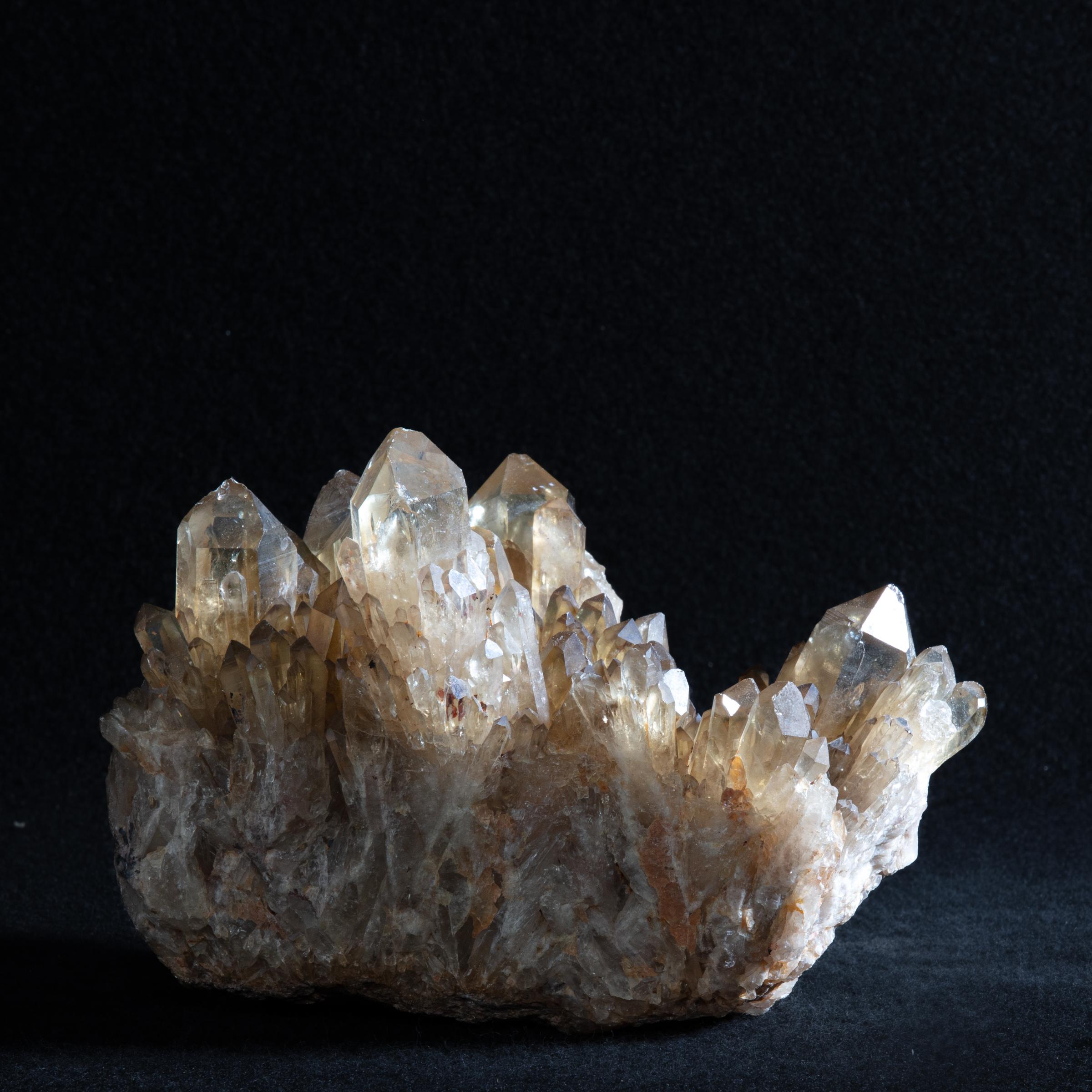 Citrine cluster - St1galleryc0109 9686 - C0109