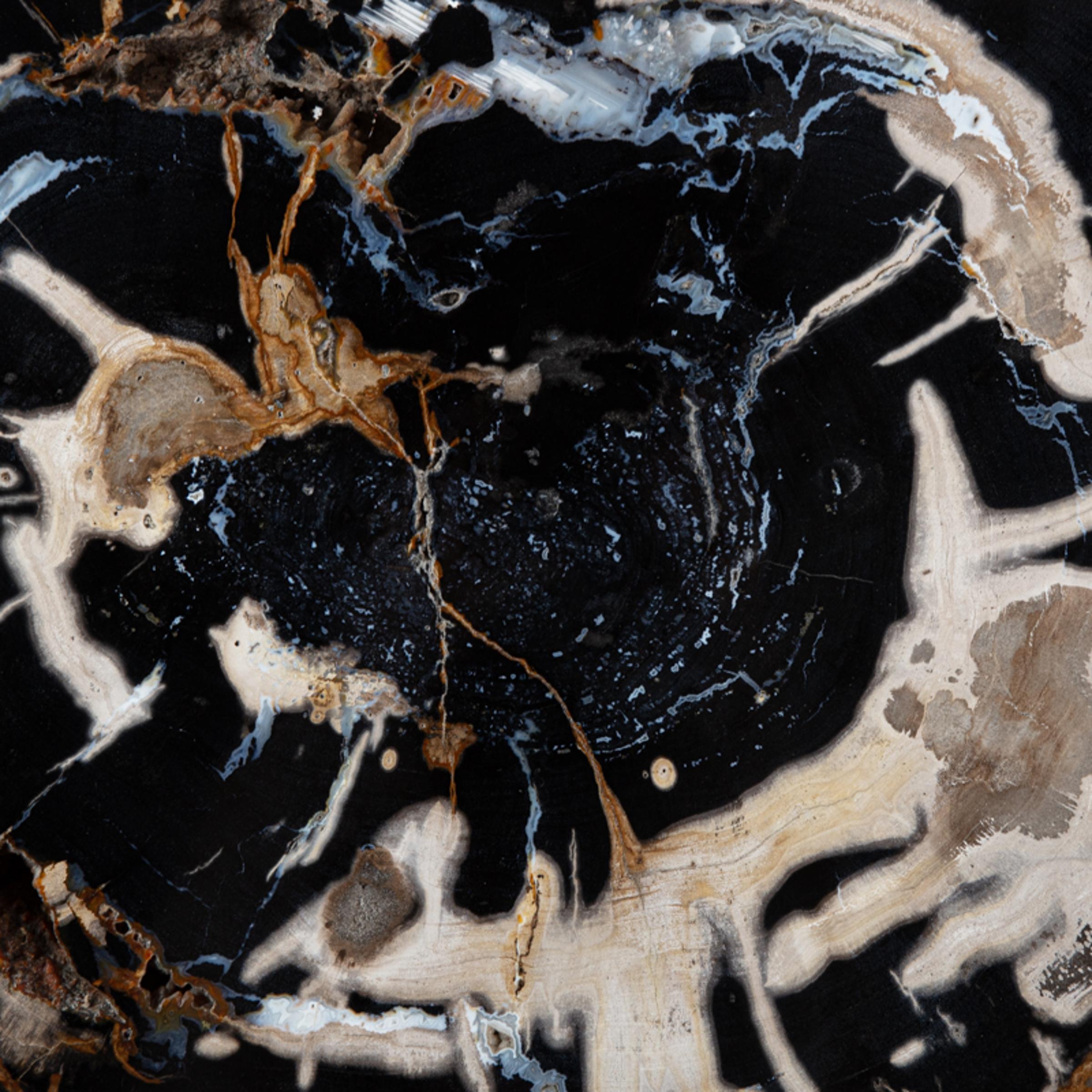 Pertrified wood slab with chalcedony inclusions - St1galleryo0136 6332 - O0136