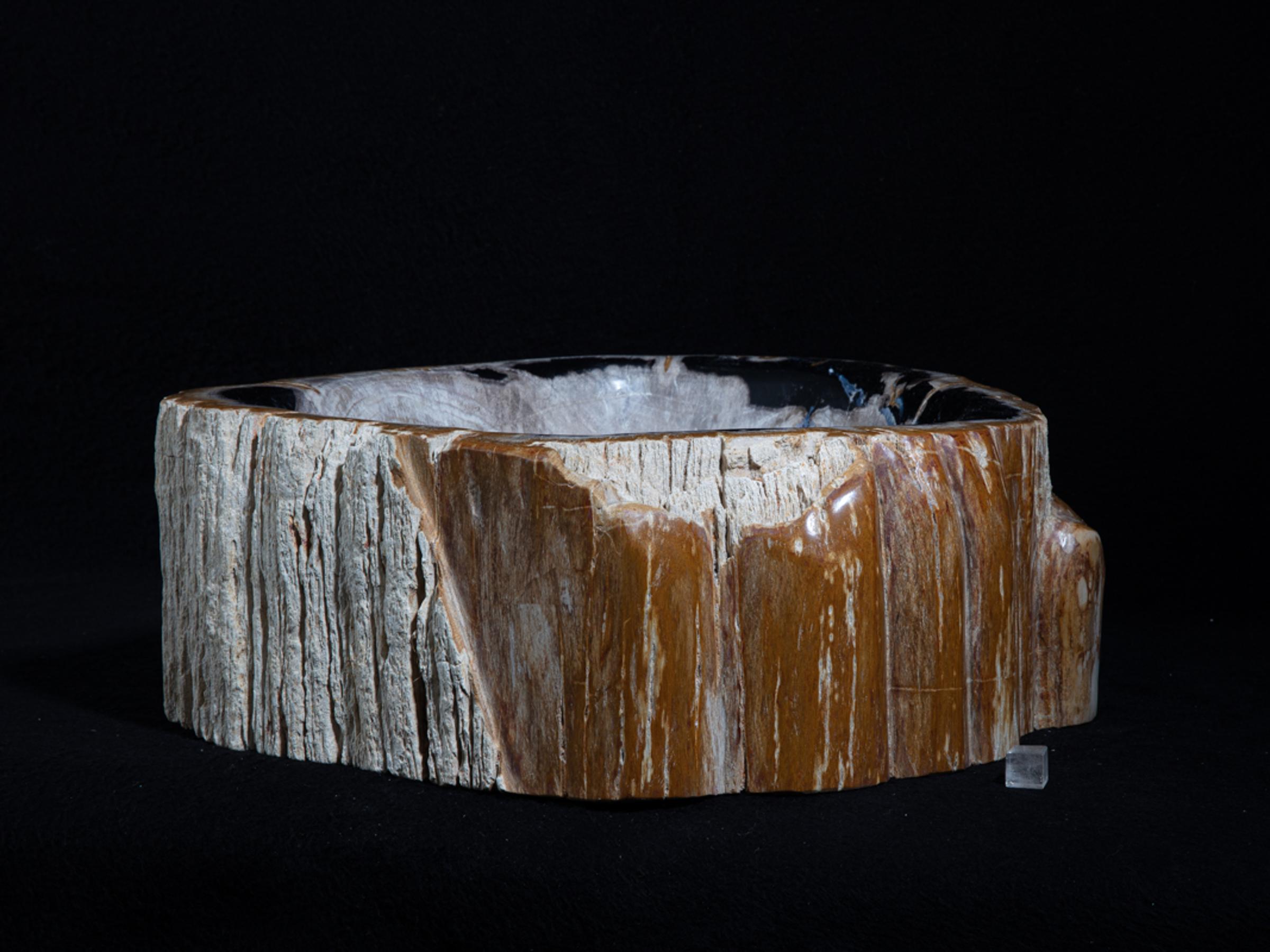Petrified wood sink - St1galleryo0157 6893 - O0157