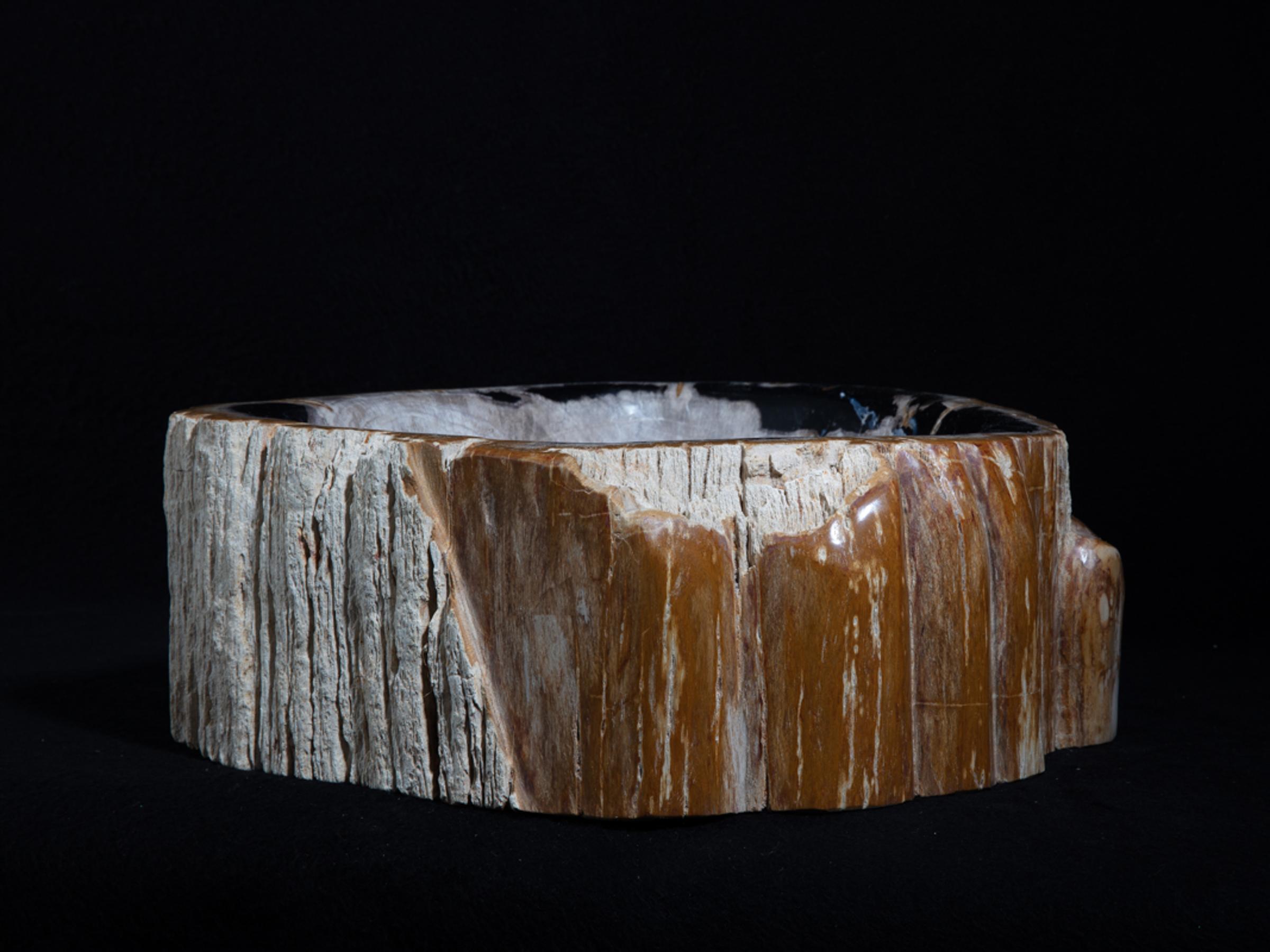 Petrified wood sink - St1galleryo0157 6894 - O0157