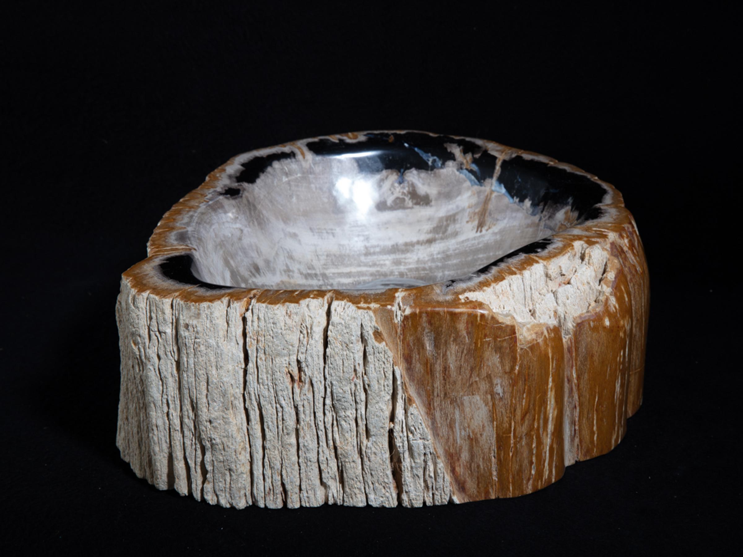 Petrified wood sink - St1galleryo0157 6895 - O0157