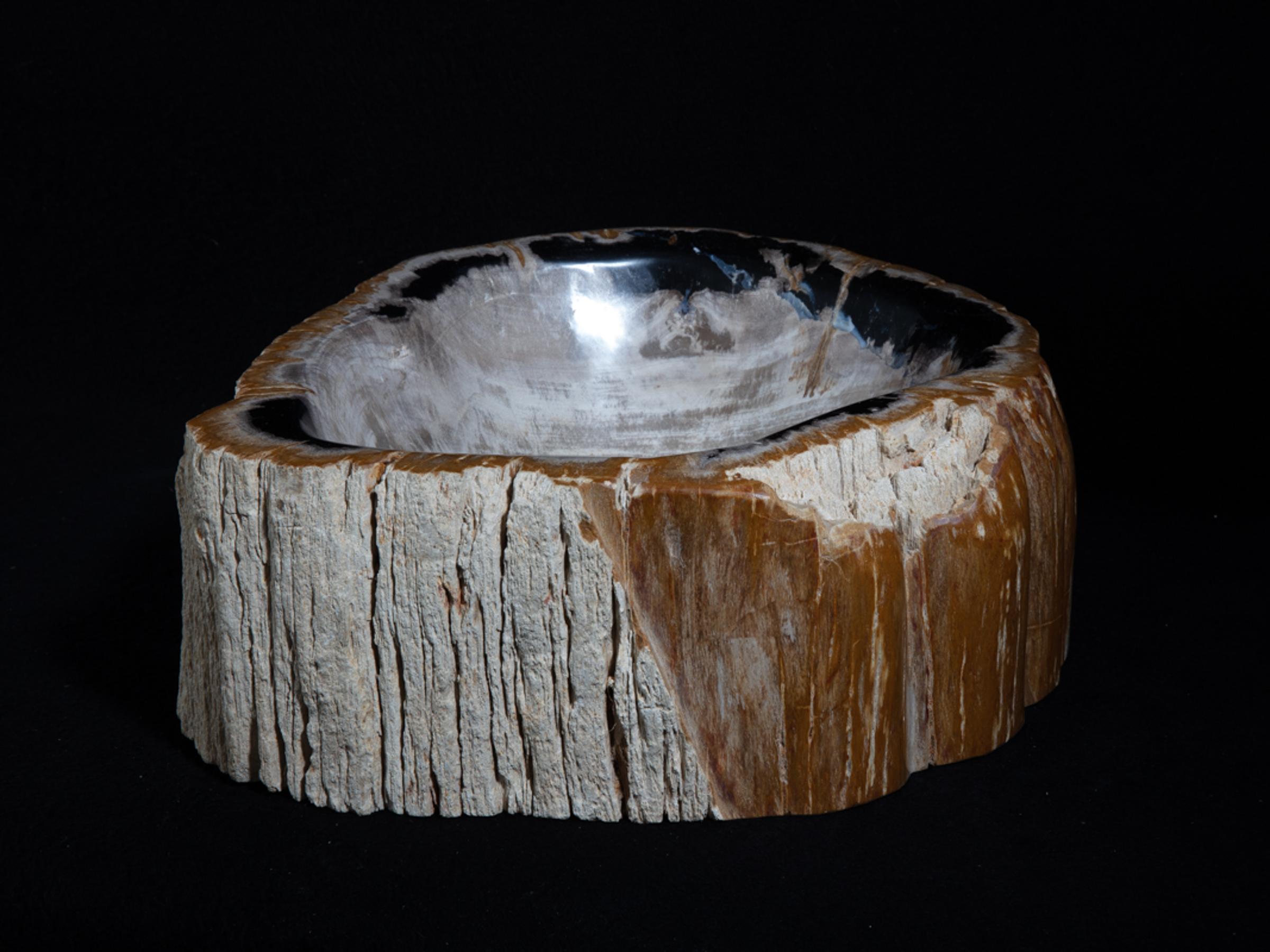 Petrified wood sink - St1galleryo0157 6896 - O0157