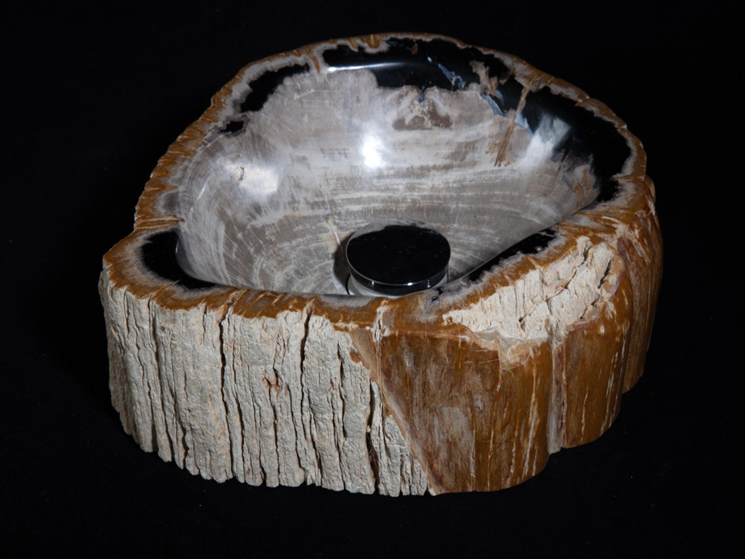 Petrified wood sink - St1galleryo0157 6897 - O0157