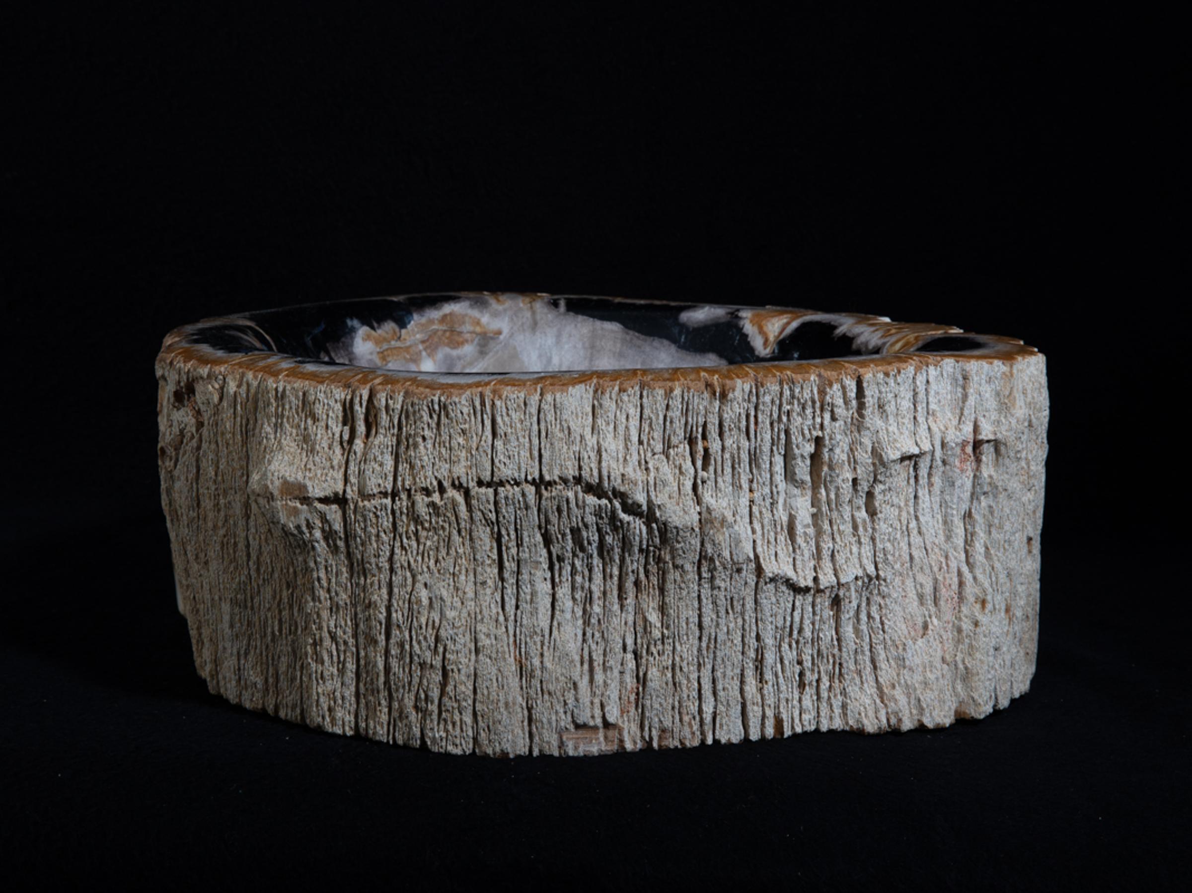 Petrified wood sink - St1galleryo0157 6899 - O0157