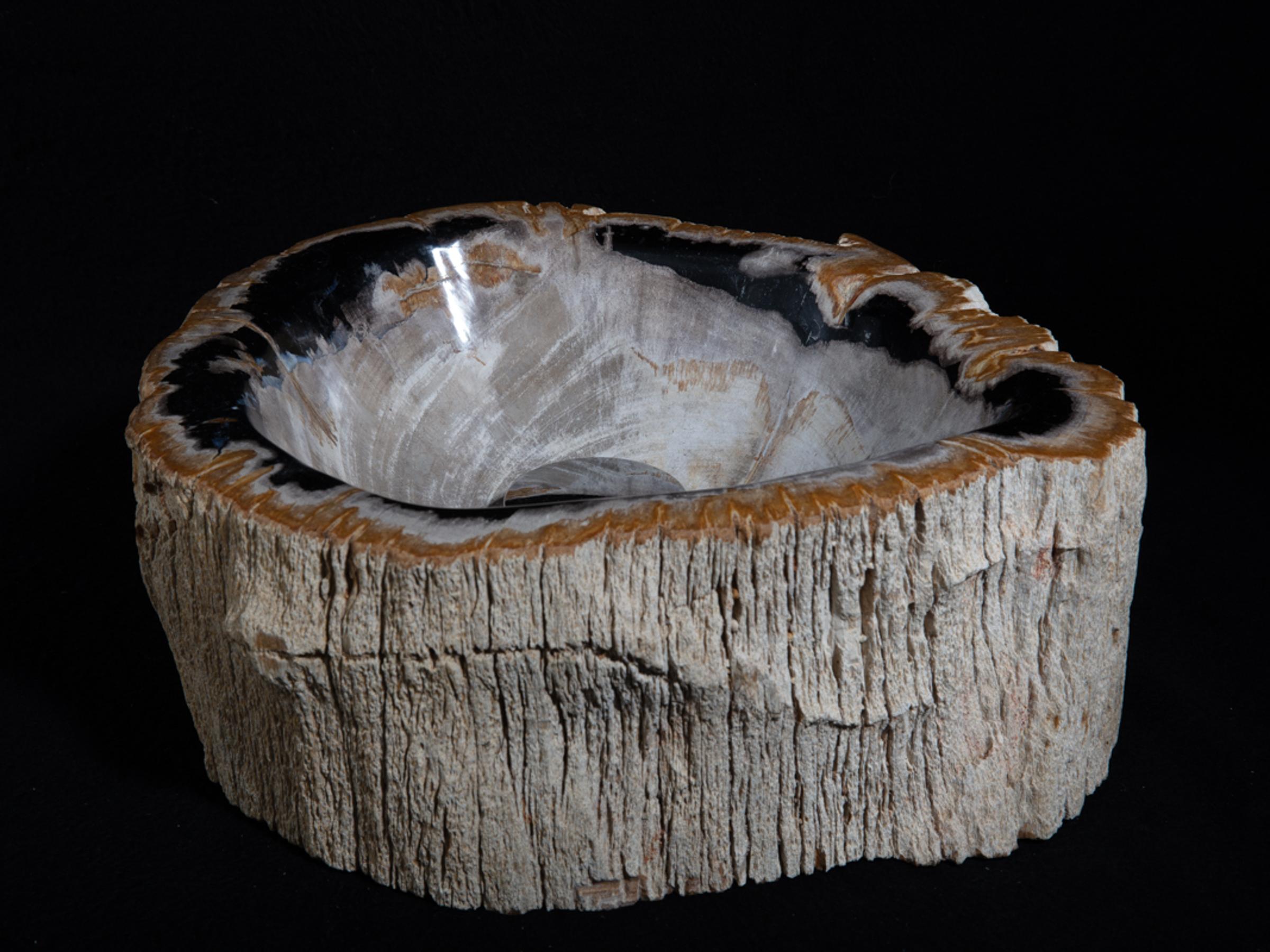 Petrified wood sink - St1galleryo0157 6900 - O0157