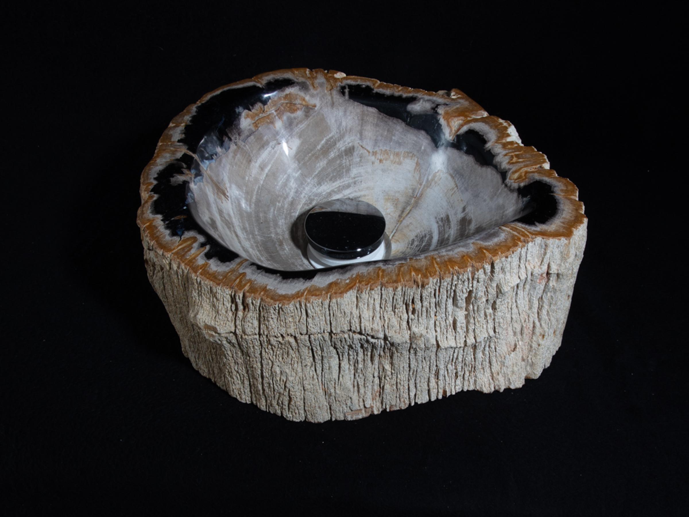 Petrified wood sink - St1galleryo0157 6902 - O0157