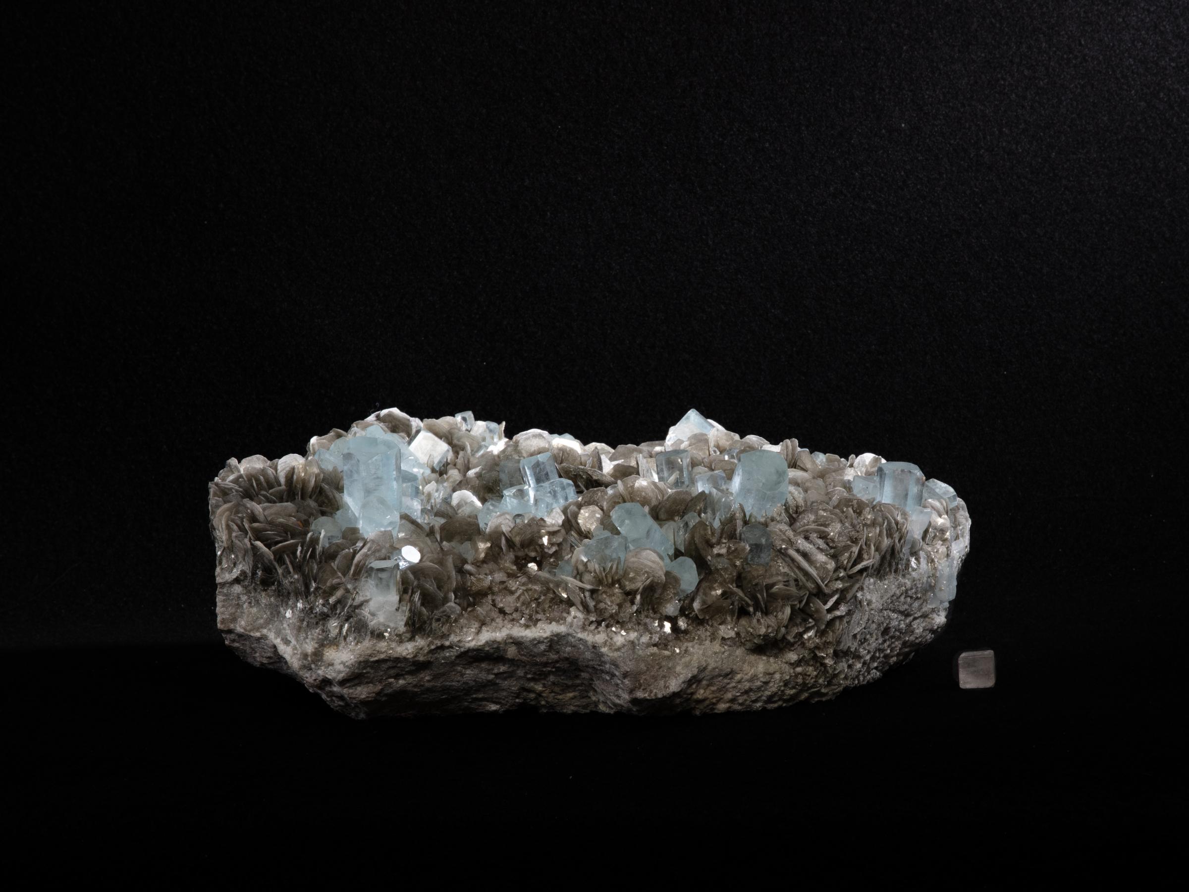 Aquamarine cluster on muscovite - St1galleryv0426 9648 - V0426