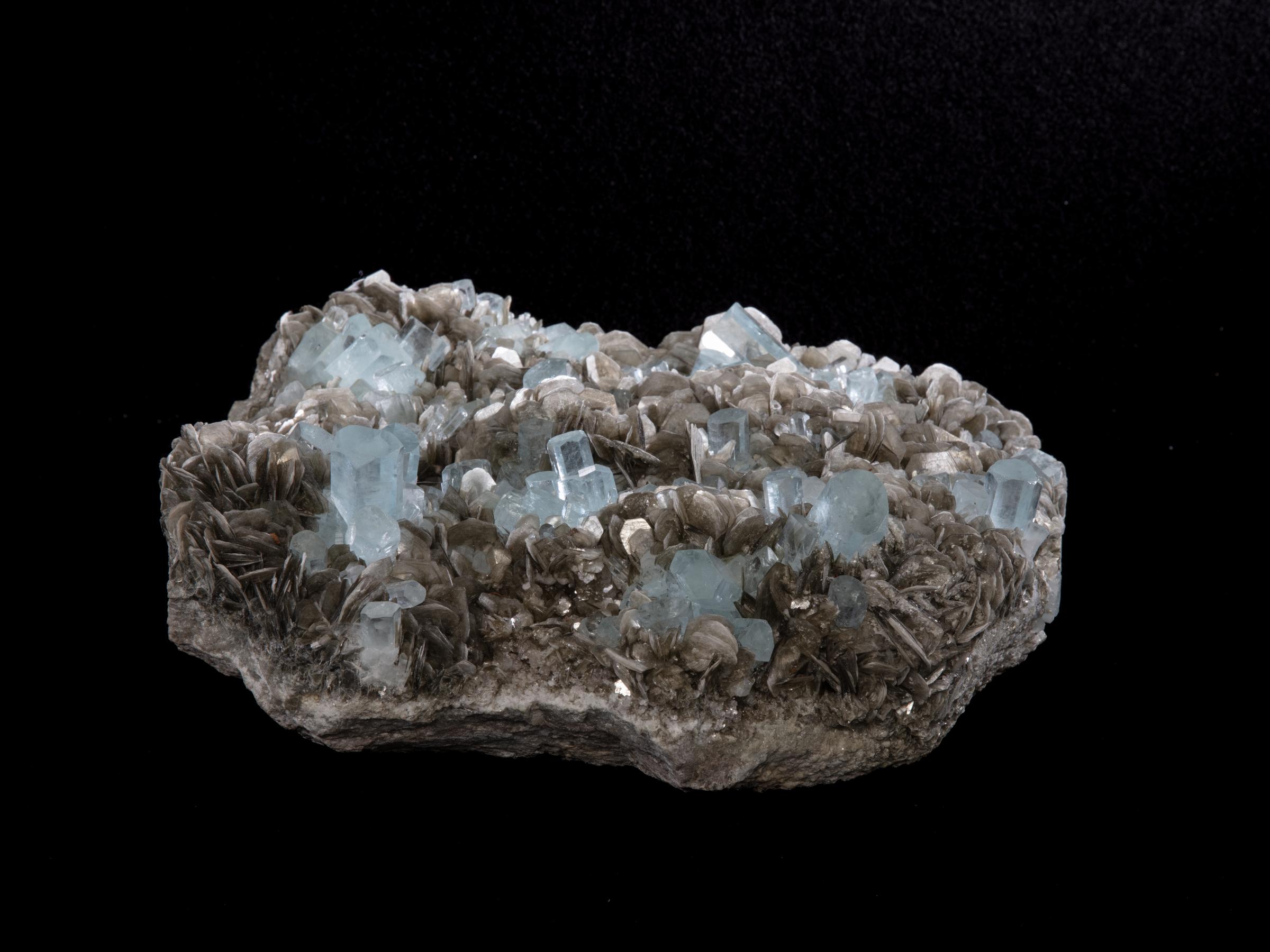 Aquamarine cluster on muscovite - St1galleryv0426 9650 - V0426
