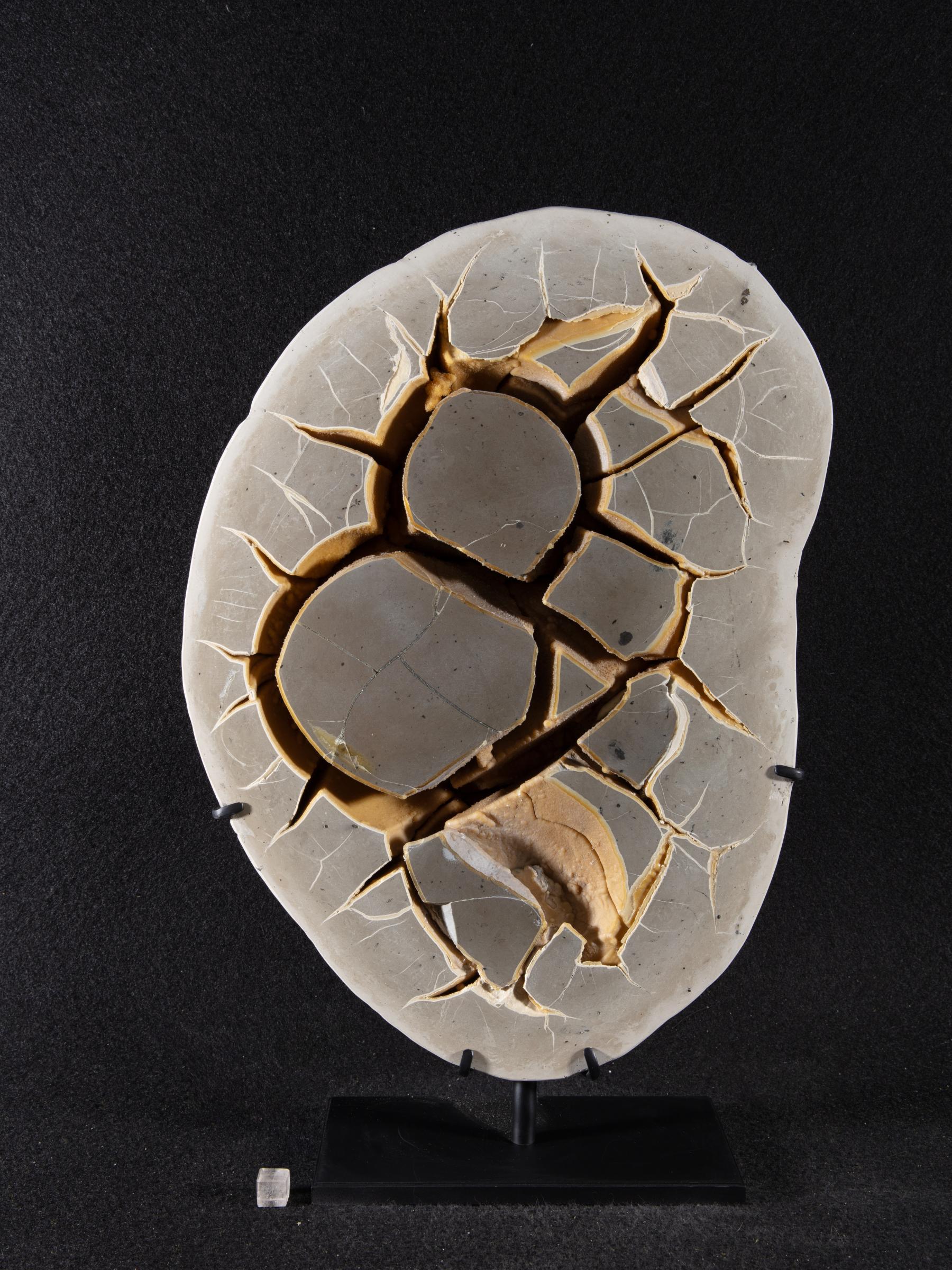 Septarian on metal base - St1galleryv0467 0251 - V0467