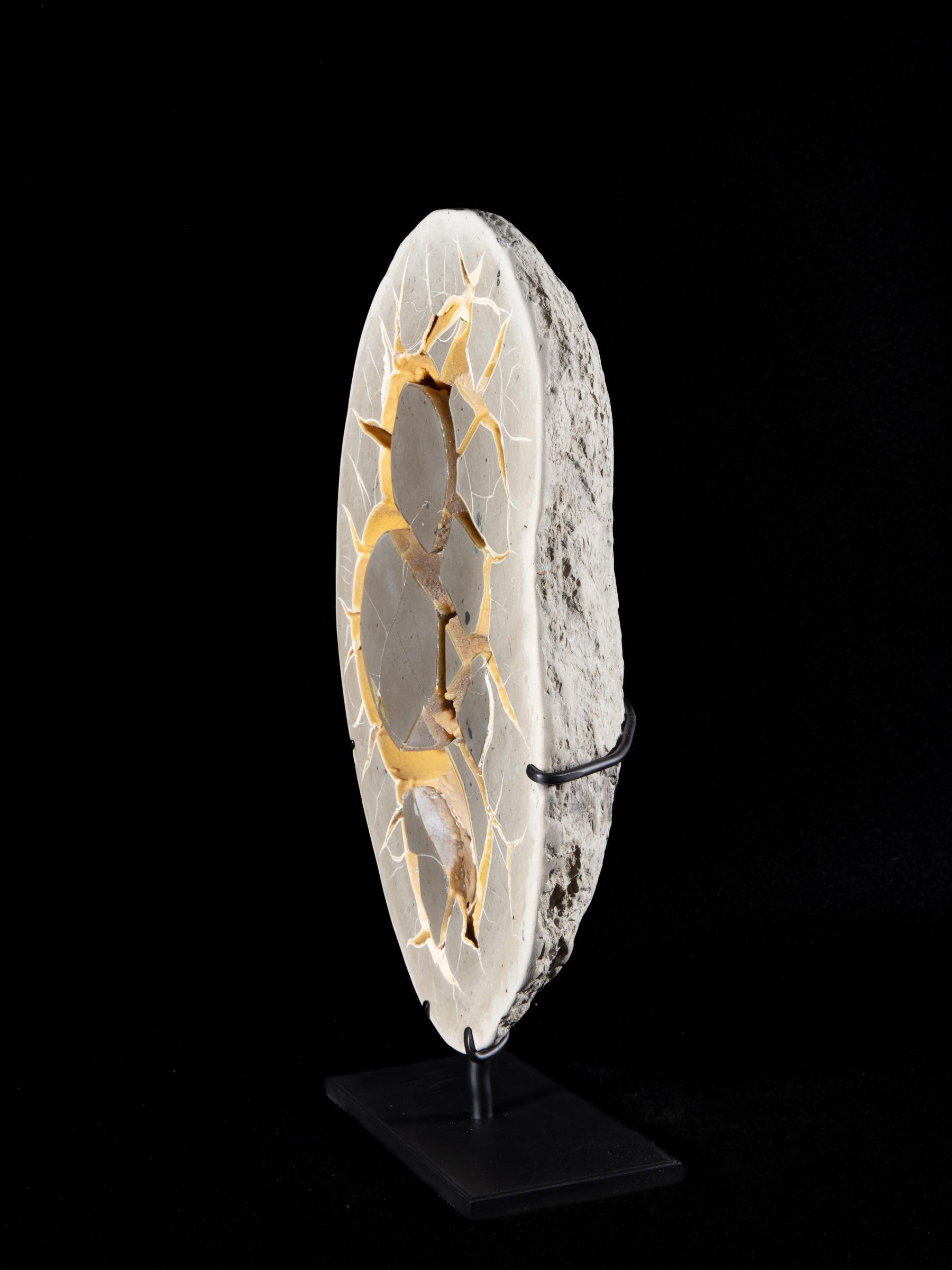 Septarian on metal base - St1galleryv0467 0256 - V0467