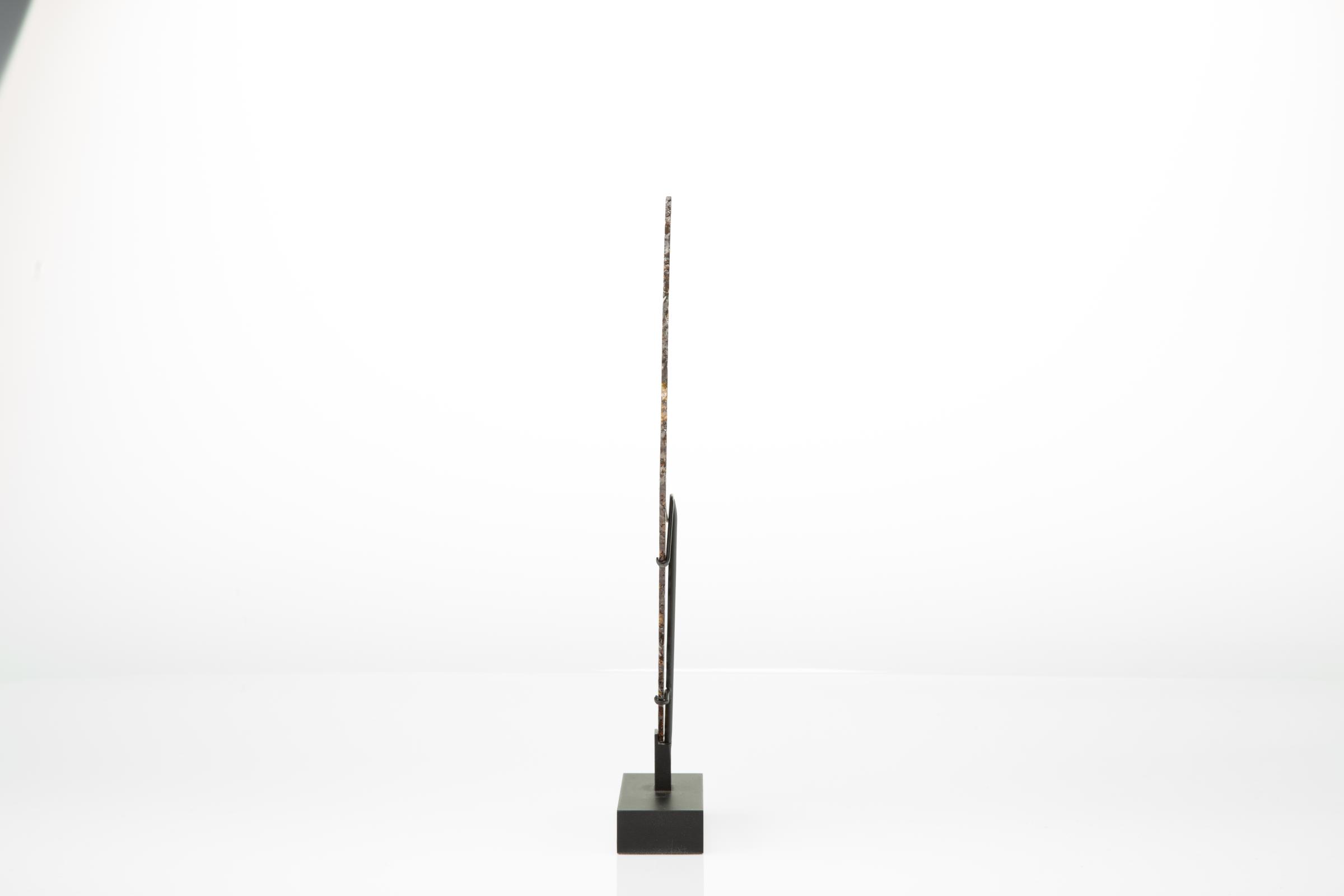 Pallasite on metal base - St1m0031 5 - M0031