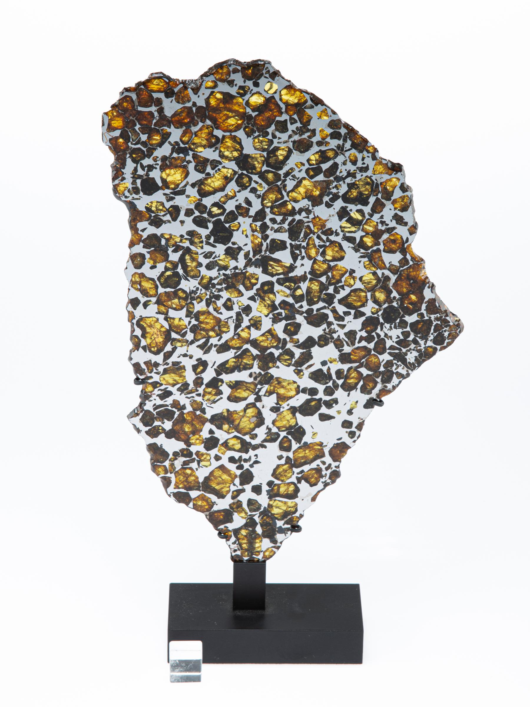 Pallasite on metal base - St1m0031 - M0031