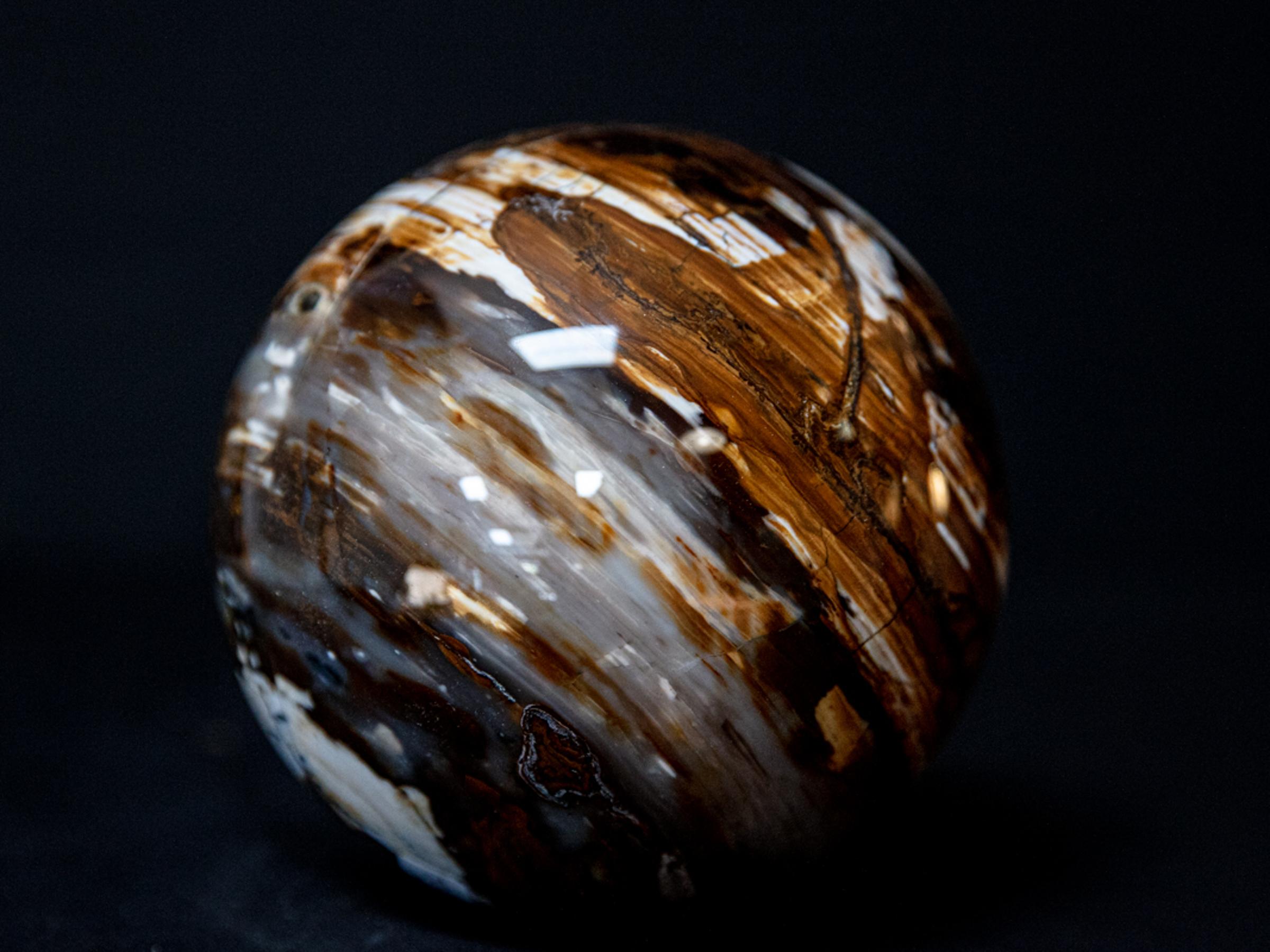 Sphere of petrified wood - St1o0102 2 - O0102