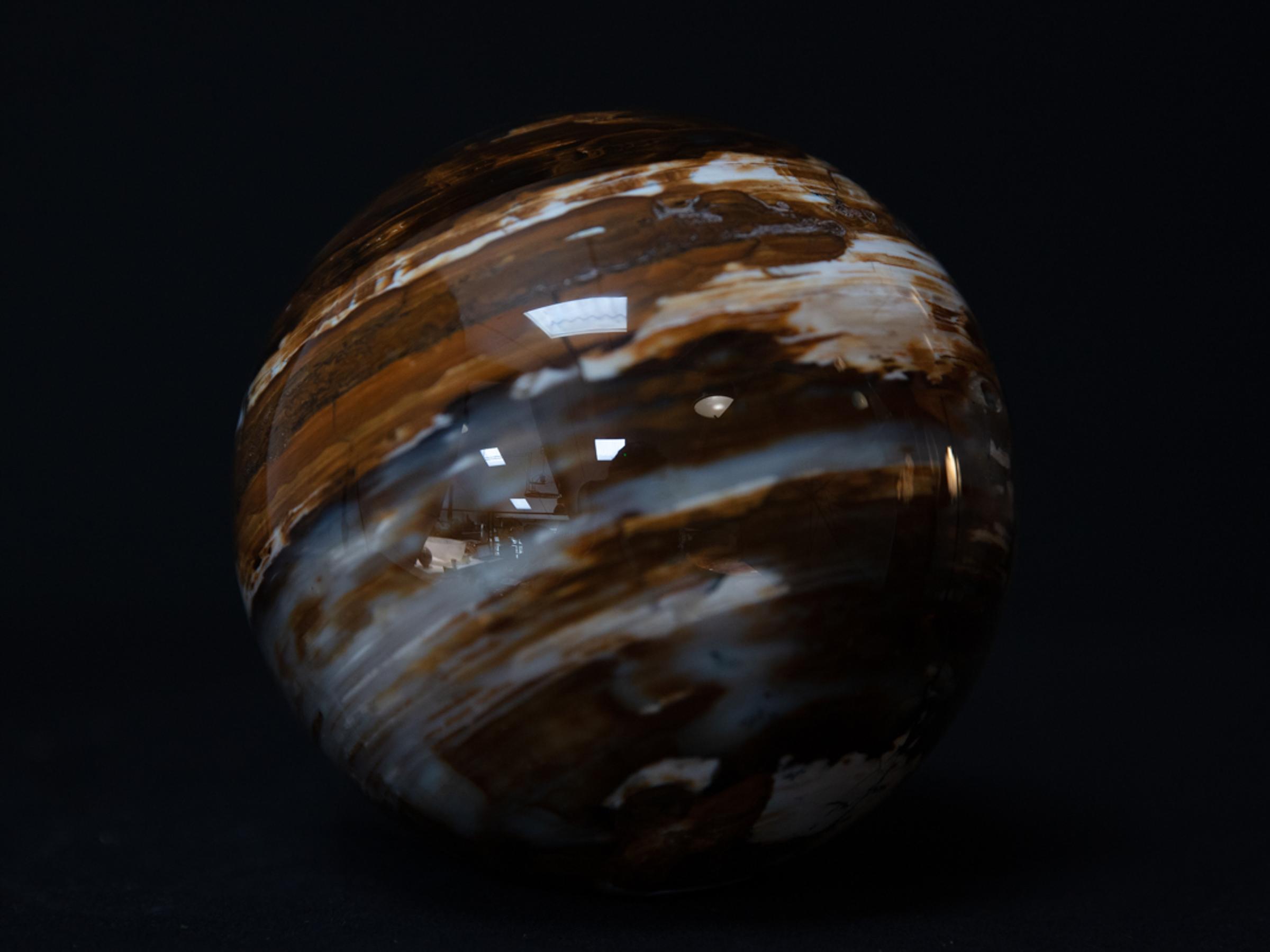 Sphere of petrified wood - St1o0102 3 - O0102
