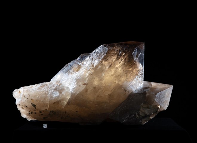 Citrine Membrini - St1galleryc0102 2 - C0102