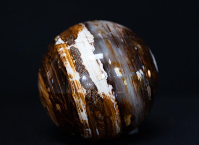 Sphere of petrified wood - St1o0102 6 - O0102